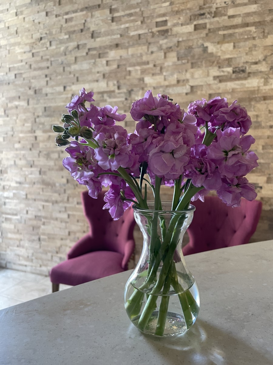 San-Jose-Dental-Office-waiting-room-area-with-fresh-flowers