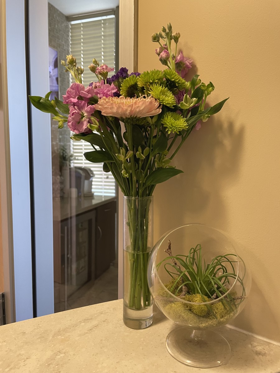 San-Jose-Dental-Office-fresh-flowers-at-spa-like-dental-office